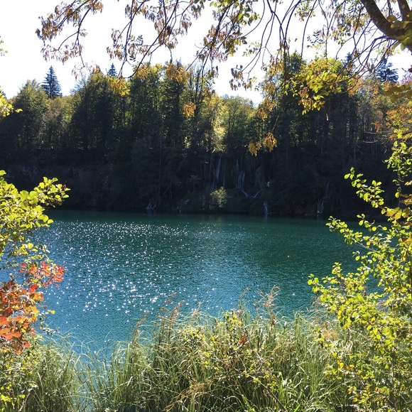 Meet your Posher, Zee - Picture 1 of 1